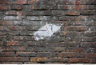 Photo Texture of Wall Brick 0007